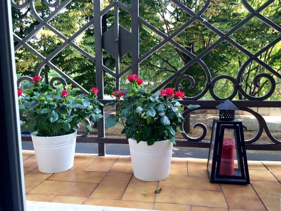Maison Dora 10 トリノ エクステリア 写真
